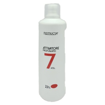 Ristructa Developer 7 vol.