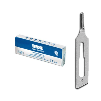 Eloi gouge blade 1
