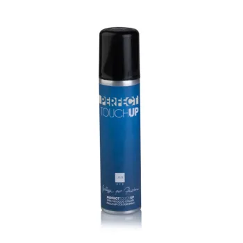 Lacca ritocco ricrescita Perfect touch up E690