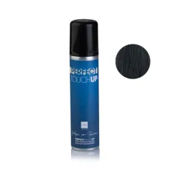 Perfect touch up E690