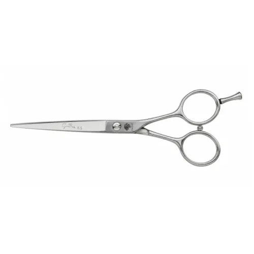Leone Giotto 6.5 forbice professionale da taglio capelli